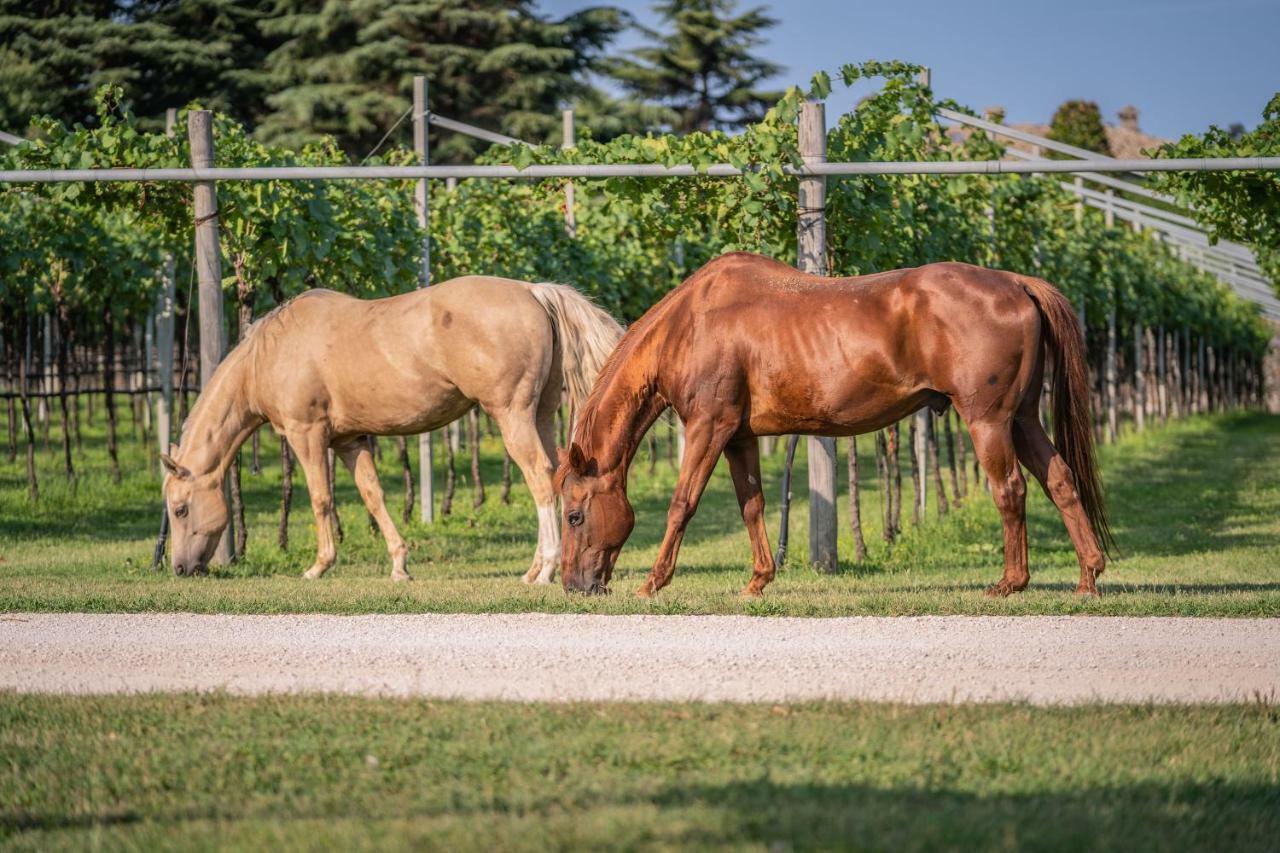 Agriturismo La Pertica Costermano Zewnętrze zdjęcie