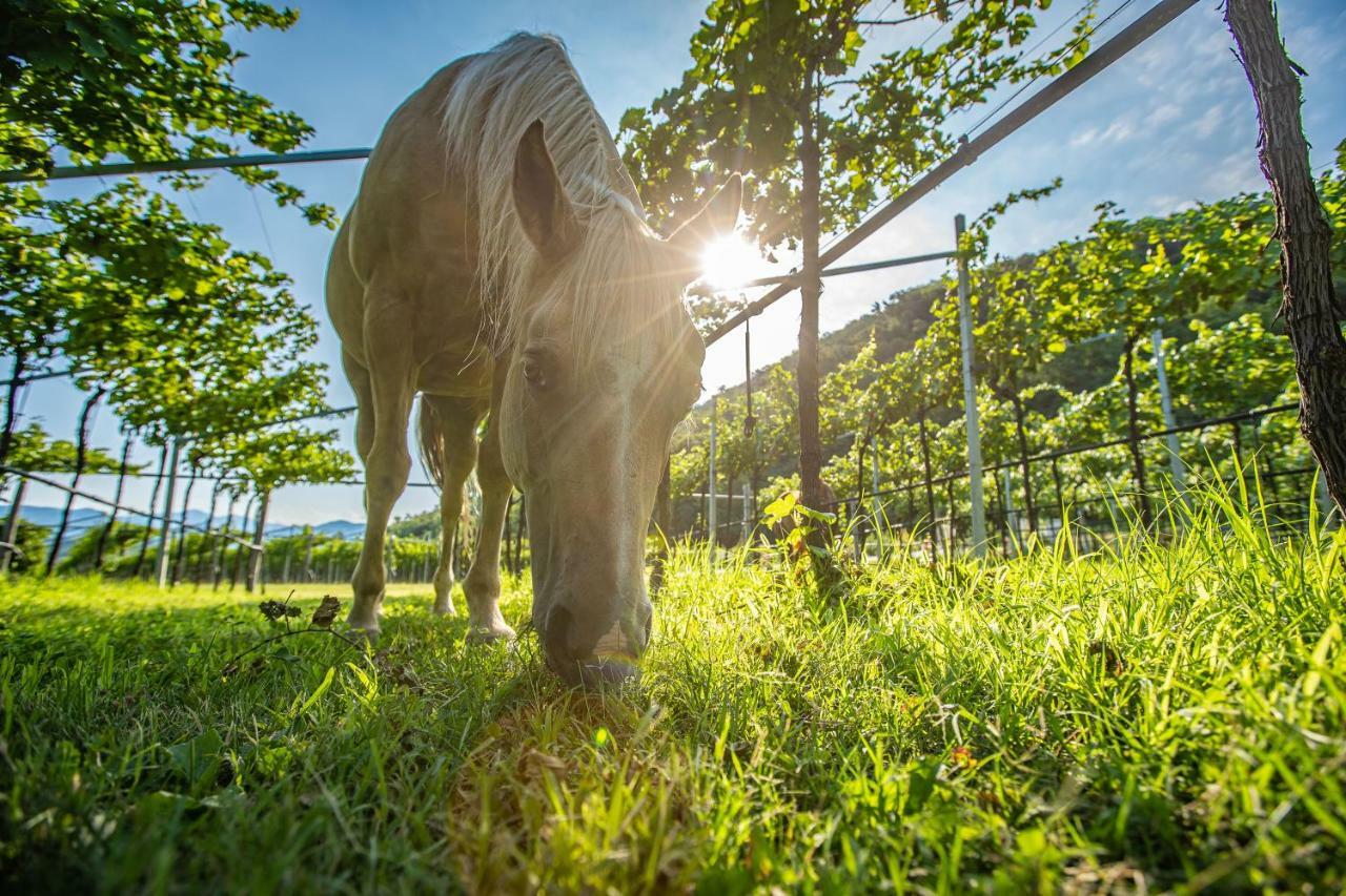 Agriturismo La Pertica Costermano Zewnętrze zdjęcie