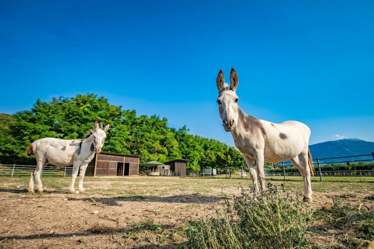 Agriturismo La Pertica Costermano Zewnętrze zdjęcie