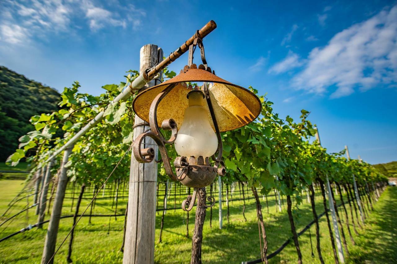 Agriturismo La Pertica Costermano Zewnętrze zdjęcie